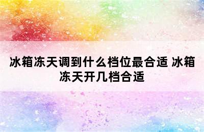 冰箱冻天调到什么档位最合适 冰箱冻天开几档合适